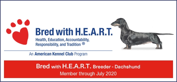 American Kennel Club Program Logo
