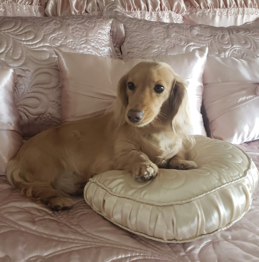 Miss Heidi
